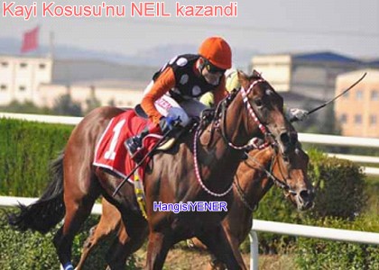 Kay Kousunu NEIL kazand