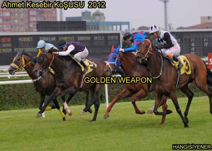 Ahmet Kesebir Kousunu GOLDEN WEAPON kazand