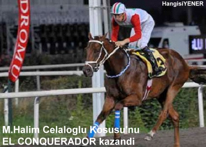 EL CONQUERADOR .Halim Celalolu KousuNU kazand