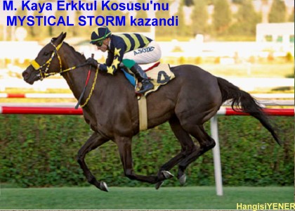 M. Kaya Erkkul Kousunu MYSTICAL STORM kazand