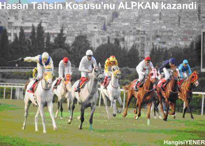 Hasan Tahsin Kousunu ALPKAN kazand