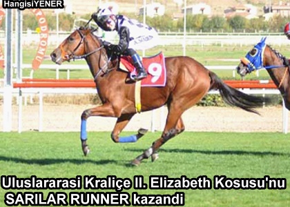 SARILAR RUNNER MURADINA ERD