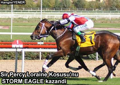 Sir Percy Loraine Kousunu STORM EAGLE kazand