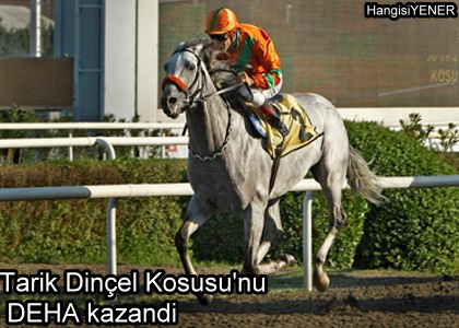 Tark Dinel Kousunu DEHA kazand