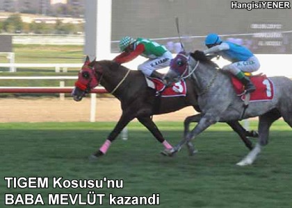 TGEM Kousunu BABA MEVLT kazand