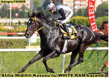 Atilla Midillili Kousunu WHITE RAM kazand