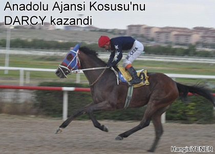 Anadolu Ajans Kousunu DARCY KAZANDI